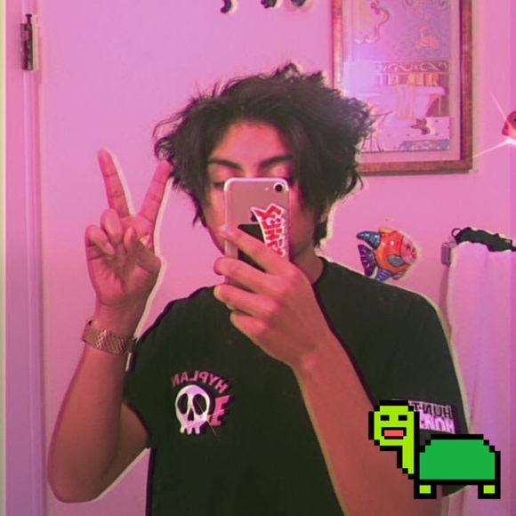hektik666